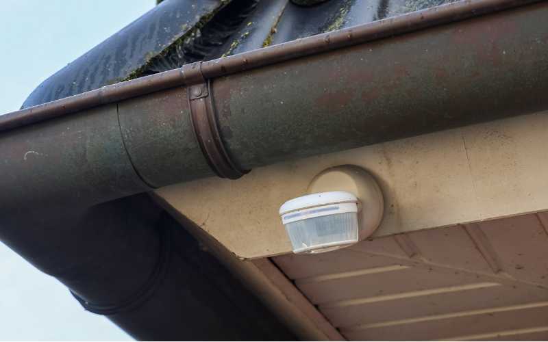Motion Detectors